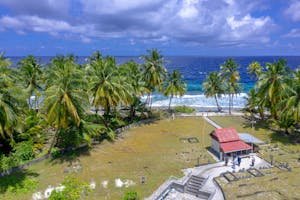 Aerial view of a tropical beach with palm trees, turquoise ocean, and a small building. Ideal for travel and nature themes.