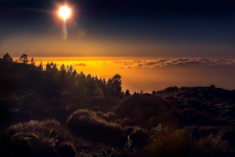 Capture of a vibrant sunset over a lush forest in Adeje, Spain, with a golden sky and vibrant clouds.