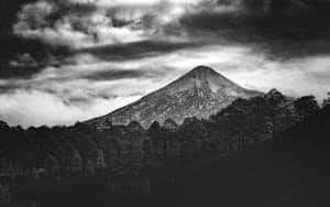Dramatic black and white landscape of Mount Teide with trees and clouds.
