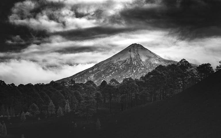 Dramatic black and white landscape of Mount Teide with trees and clouds.