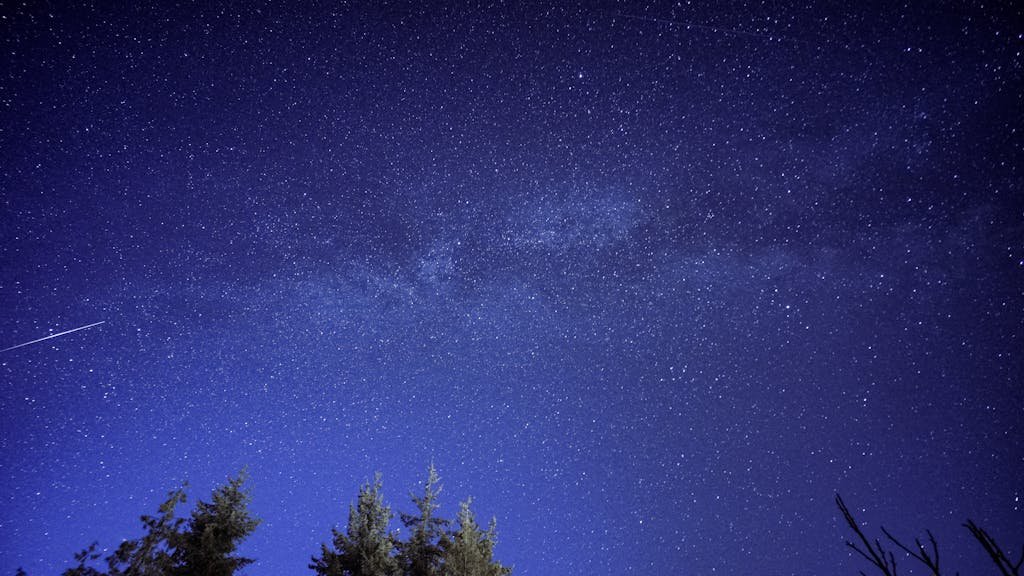 Starry night sky with a shooting star visible above a forest silhouette.