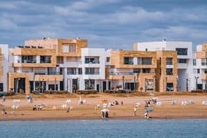 Coastal view of modern apartments and people enjoying a peaceful day at the beach.