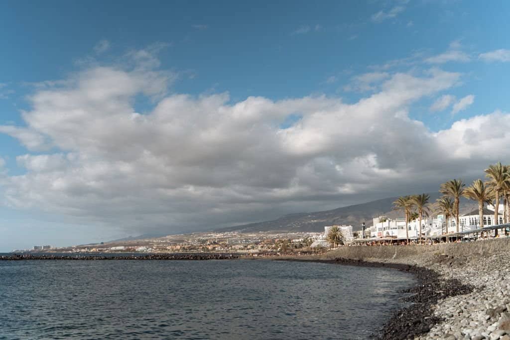 Panoramic view of Tenerife's coastline with palm trees and ocean under a dynamic sky.
